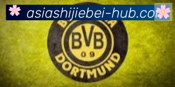 FIFA世界杯买球官方网站合作伙伴